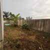 Gallery Thumbnail 6